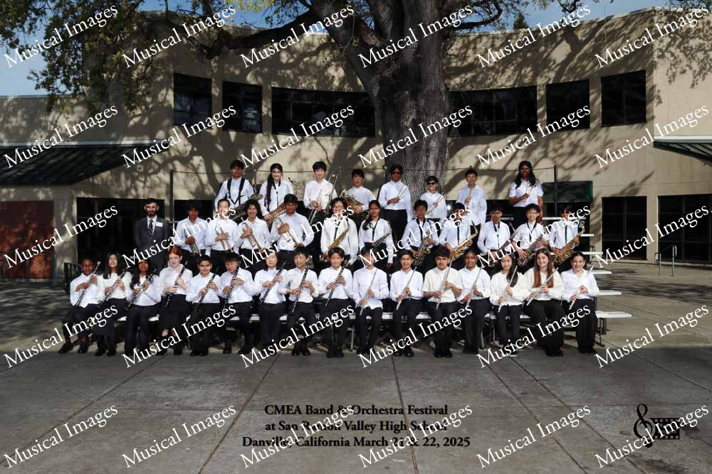 Musical Images